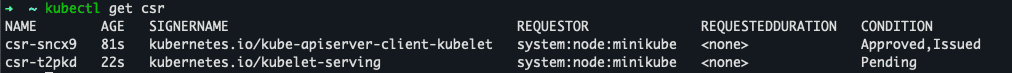 terminal output for kubectl get csr